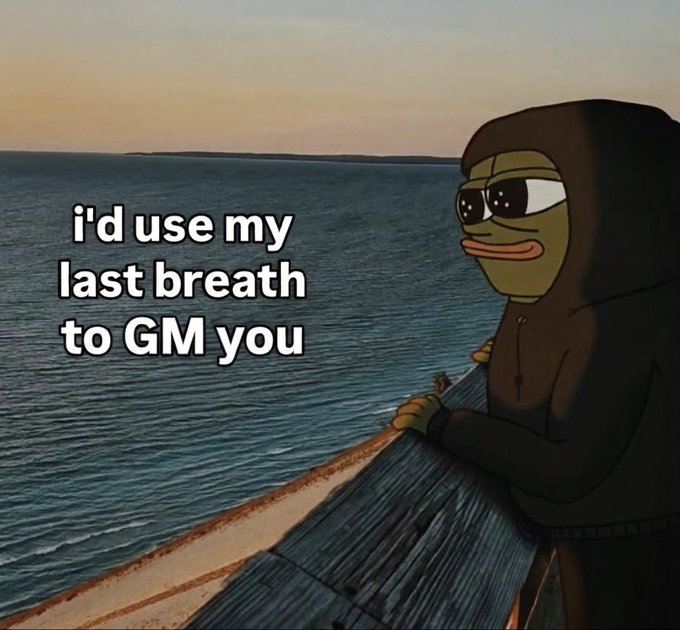 A sad Pepe frog meme character wearing a black hoodie, standing by water at sunset, with text reading 'i'd use my last breath to GM you'.