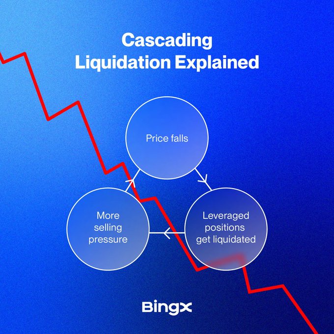 Educational graphic titled 'Cascading Liquidation Explained' from BingX, showing a cyclical diagram of 'Price falls,' 'Leveraged positions get liquidated,' and 'More selling pressure' against a downward red trend line on a blue background.