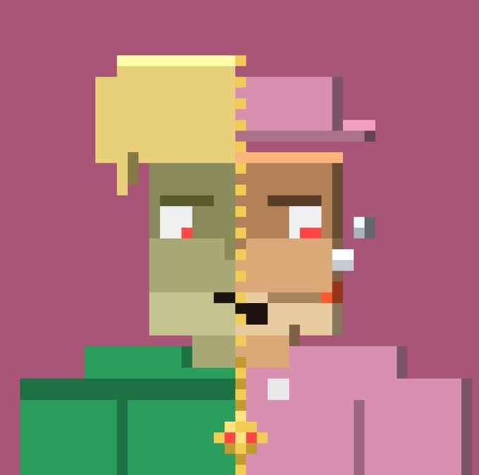 A pixel art illustration of a stylized face split vertically down the middle, showing a blonde character on the left against a green background and a pink-hatted character on the right against a pink background.