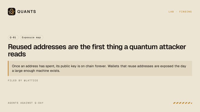 A webpage titled "QUANTS" with the headline "Reused addresses are the first thing a quantum attacker reads," explaining that once an address has spent, its public key is exposed, filed by @lattice.