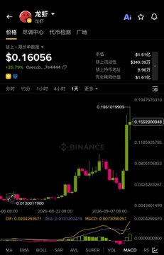 Screenshot of a Binance trading app displaying the price chart for 龙虾 (Lobster/Longxia) cryptocurrency at $0.16056, showing a 24-hour price increase.