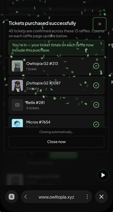A mobile screenshot showing a confirmation message on owltopia.xyz that 45 tickets were purchased successfully across 13 raffles, listing entries including Owitopia G2 #213 (1 ticket), Owitopia G2 #1087 (2 tickets), Belle #281 (5 tickets), and Micros #7654.