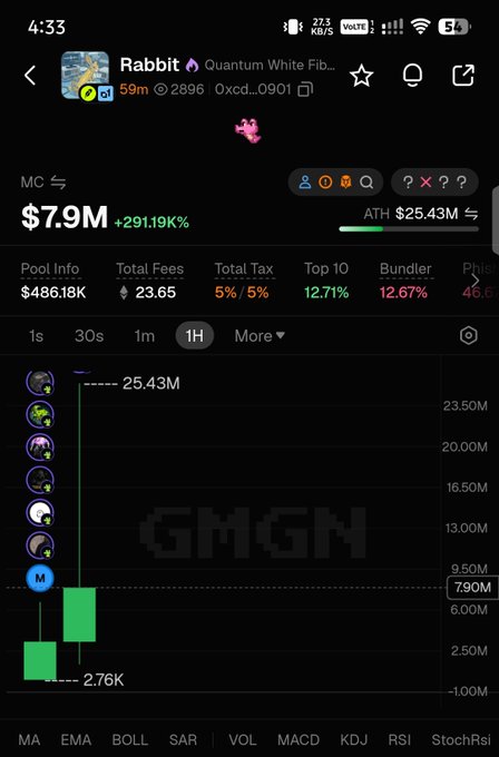 A cryptocurrency trading app screenshot showing the token 'Rabbit' with a market cap of $7.9M, up +291.19%, with an all-time high of $25.43M and a 1H candlestick chart.