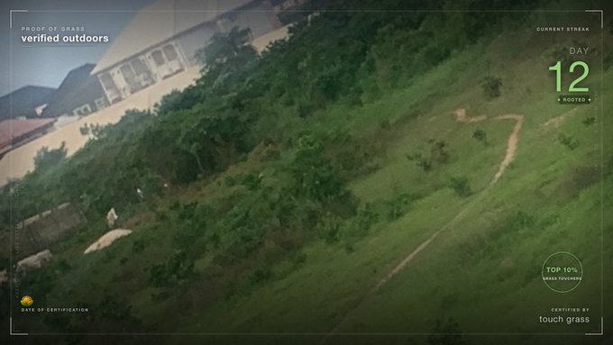 An aerial view of a grassy hillside with a winding dirt path near some buildings, overlaid with 'PROOF OF GRASS verified outdoors', 'CURRENT STREAK DAY 12 ROOTED', and 'CERTIFIED BY touch grass'.