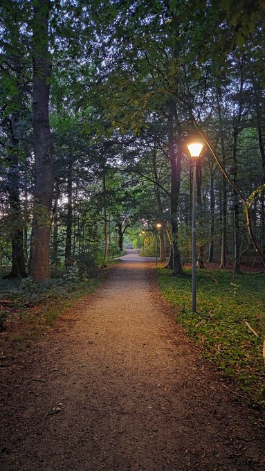 A serene forest path lined with lit lampposts winding between tall trees under a twilight sky.