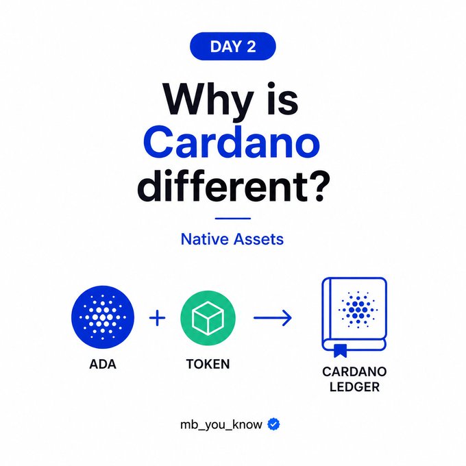 An infographic titled 'Why is Cardano different? Day 2 - Native Assets' showing ADA + TOKEN equals Cardano Ledger, by mb_you_know.