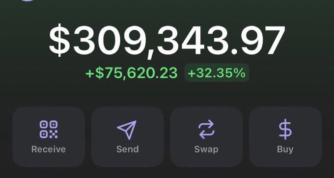 A screenshot of a cryptocurrency or financial app interface displaying a balance of '$309,343.97' with a gain of '+$75,620.23 (+32.35%)' in green, above buttons for 'Receive', 'Send', 'Swap', and 'Buy'.