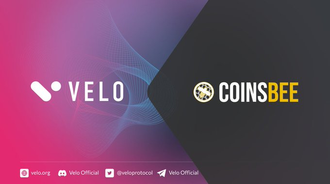 A promotional graphic for VELO and COINSBEE featuring a pink-to-dark gradient background with wave patterns, displaying the logos and social media handles for Velo Official.