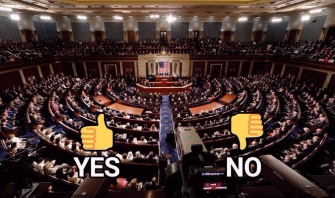 The image shows the U.S. House of Representatives chamber filled with members, overlaid with a "YES" thumbs-up and a "NO" thumbs-down emoji prompting voters to weigh in on whether every member of Congress should be audited by DOGE. This visual poll-style graphic invites public opinion on government accountability in light of the breaking news topic.