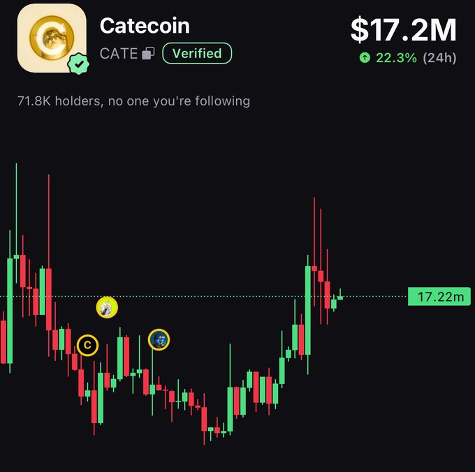 A crypto chart displays Catecoin (CATE) verified token data with 71.8K holders, a market cap of $17.2M, and a 22.3% increase over 24 hours.