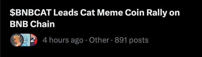 Reddit post header reading '$BNBCAT Leads Cat Meme Coin Rally on BNB Chain', posted 4 hours ago with 891 posts.