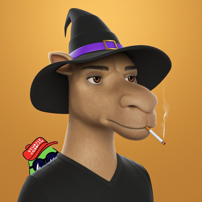 A 3D-rendered camel character wears a black witch hat with a purple band and smokes a cigarette, with a small green monster wearing a red 'Turtle Power' cap peeking over its shoulder.