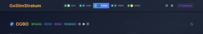 A screenshot of a website header showing the logo "GoSlimStratum" with cryptocurrency tickers including BCH, DGB, DGBO (highlighted), DBBS, and DOGE, along with an Enterprise tab.