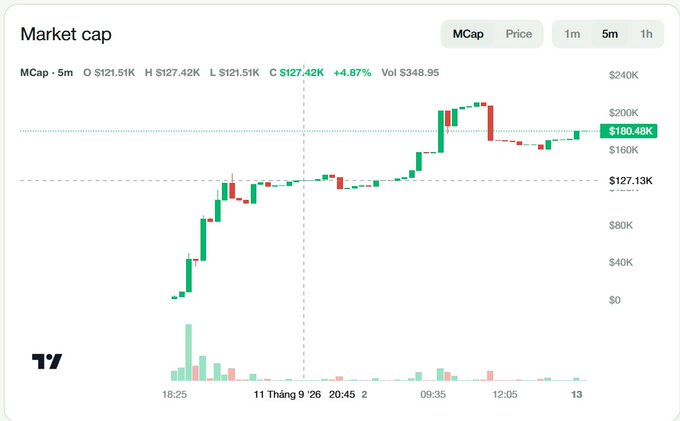 A cryptocurrency market cap candlestick chart for a ticker labeled 'T7', showing 5-minute interval price data with a 4.97% gain and a current price of $180.48K.