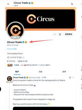 The image displays a Google search page for "Circus Trade," with the official Circus Trade social media account handle @circus_trade_ highlighted by a red arrow, noting it has 1,234 related searches and over 1,974 followers. This relates to the post's mention of identifying emerging crypto projects and high-cap gems, as Circus Trade is being researched as a potential platform in the competitive landscape alongside Bonk.