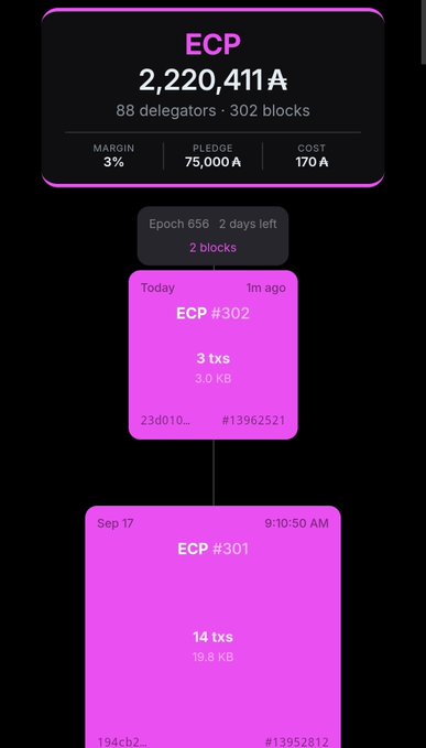 Blockchain interface showing 'ECP' with 2,220,411 A, 88 delegators, 302 blocks, margin 3%, pledge 75,000 A, cost 170 A, and recent blocks ECP #302 and ECP #301.