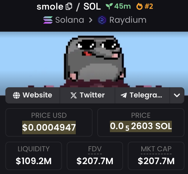 A cryptocurrency listing page displays the memecoin **smole / SOL** on Raydium via Solana, showing a pixelated hamster-like mascot wearing sunglasses. The token is priced at **$0.0004947** with a **market cap of $207.7M** and **liquidity of $109.2M**. The image appears to commemorate the $SMOLE memecoin relaunch, aligning with the post's announcement of an airdrop and the creator's plan to buy max supply at launch to ban snipers.