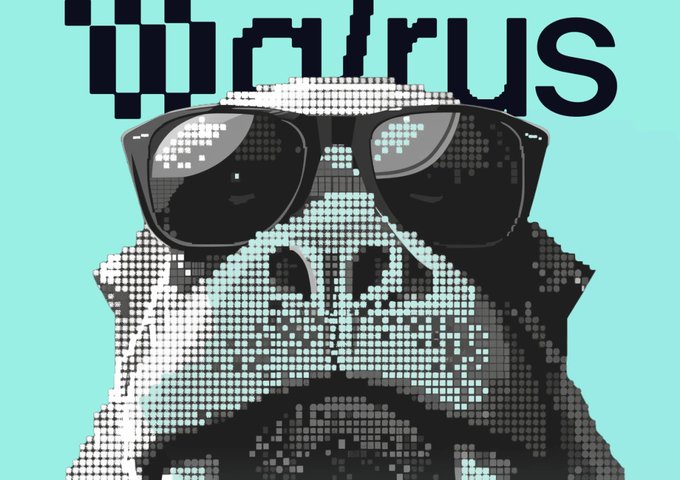 A pixelated graphic of a gorilla wearing sunglasses against a teal background, with the word 'illuvius' in stylized black text at the top.