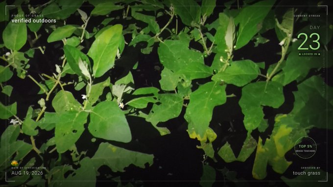 A close-up view of green leaves with overlay text reading 'verified outdoors', 'CURRENT STREAK DAY 23', 'TOP 5% SPEAK TROPHIES', 'AUG 19, 2026', and 'CERTIFIED BY touch grass'.