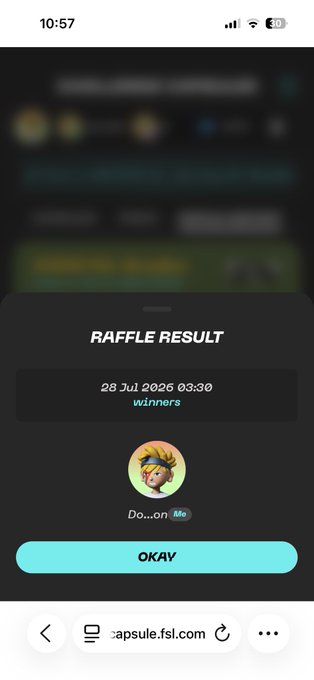 A mobile screenshot displays a 'RAFFLE RESULT' notification dated '28 Jul 2026 03:30' naming 'Do...on' as a winner, with an 'OKAY' button on a capsule.fsl.com page.