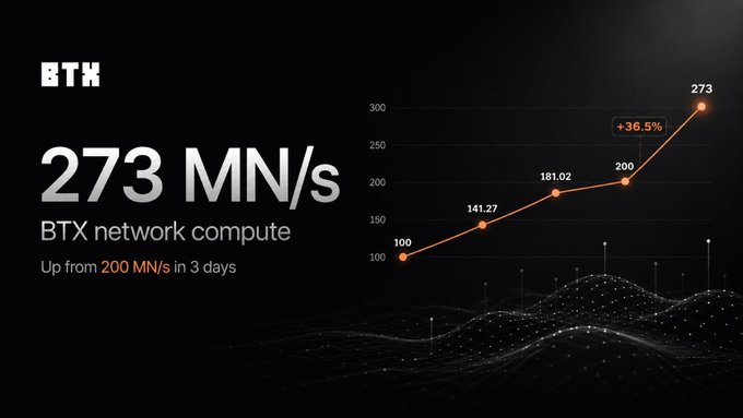 BTX network compute reaches 273 MN/s, up 36.5% from 200 MN/s in 3 days, shown on a line graph.