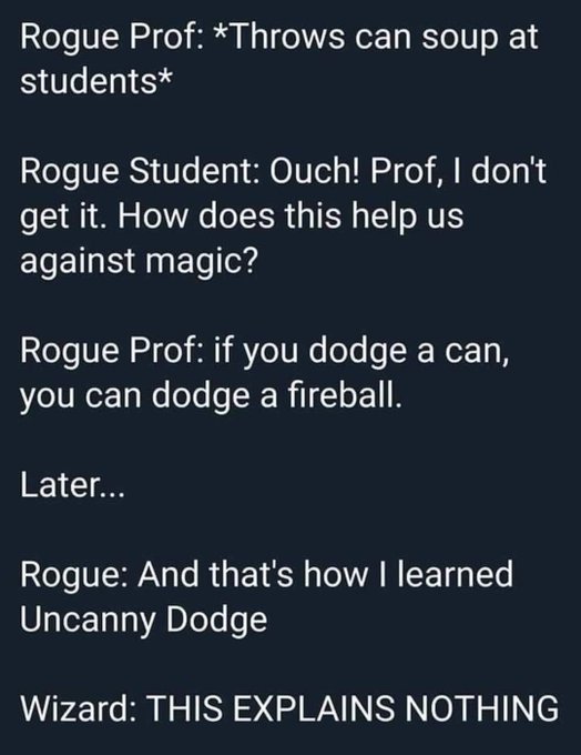 A text-based meme about a Rogue professor throwing soup cans at students to teach 'Uncanny Dodge', frustrating a Wizard who says 'THIS EXPLAINS NOTHING'.
