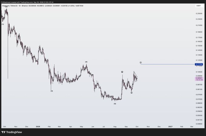 TradingView chart of 'DogeCoin / TetherUS - 1D' on Binance showing a downtrend since late 2025 with Elliott Wave markings and a target zone near 0.11700 USDT.