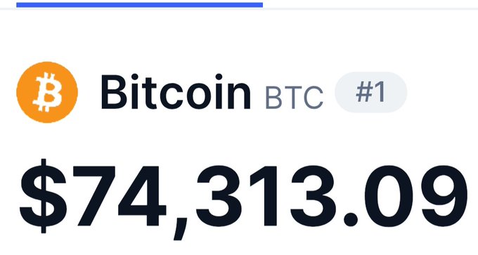 A digital display showing the price of Bitcoin (BTC), ranked '#1', at '$74,313.09' with the orange Bitcoin logo.