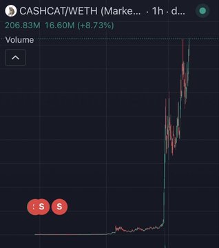 A 1-hour candlestick chart for the CASHCAT/WETH pair shows the token's price exploding from near zero to $16.60M, an 8.73% gain, illustrating how the original $51 sale is now valued at over $100,000.