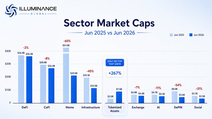 A bar chart titled "Sector Market Caps" compares cryptocurrency sector valuations between June 2025 and June 2026, showing declines across most categories including DeFi (-2%, $36.9B to $36.3B), CeFi (-8%), Meme (-60%), Infrastructure (-45%), Exchange (-7%), AI (-11%), DePIN (-54%), and Social (-31%), while tokenized assets were the only sector to grow at +267% ($2.0B to $7.5B), visually reinforcing the post's message that utility-driven sectors are outperforming the broader market downturn.