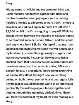 The image shows a screenshot of an email message or a page from one, which has been described as heartwarming by its viewers. In the message, there is a description about Ralph the blind cat and his recent vet scare, along with some heartfelt expressions such as "Thank you" and "I wish I had known this before". The author of the email explains that they donated to an organization called ShelterBox in order to provide urgent relief for families who have lost their homes or been affected by a natural disaster.