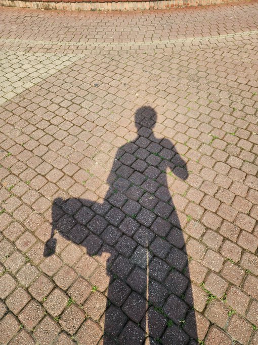 A shadow of a person cast on a brick-paved ground, where the person appears to be holding a small, kite-like object in their hand.