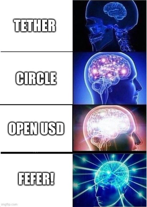Expanding Brain meme listing crypto companies: TETHER, CIRCLE, OPEN USD, and FEFER!, with the last labeled 'FEFER!' paired with the most glowing/expanded brain image.