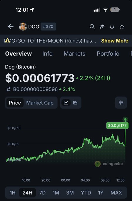 A CoinGecko mobile app screenshot displays DOG (Bitcoin) trading at $0.00061773, up 2.2% over 24 hours, with a green price chart.