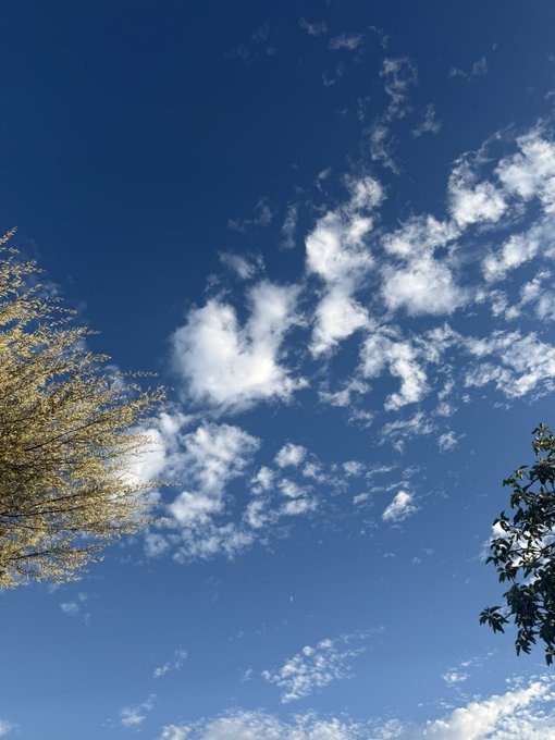 A bright blue sky dotted with scattered white clouds stretches above the tops of two trees, their golden and green foliage hinting at the transition between seasons. The lingering daylight and warm tones evoke the final days of summer as it gives way to autumn.