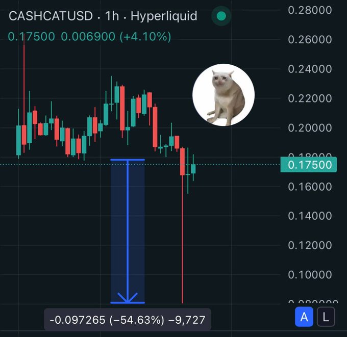 A 1-hour Hyperliquid candlestick chart for $CASHCATUSD shows a dramatic -54.63% wick dropping to -0.097265 (roughly $0.08) from the $0.17500 level, visually capturing the violent flush referenced in the post about Robinhood meme coins imploding under leverage. A sad cat meme photo hovers over the chart, reinforcing the post's tone about the fading meme cycle.