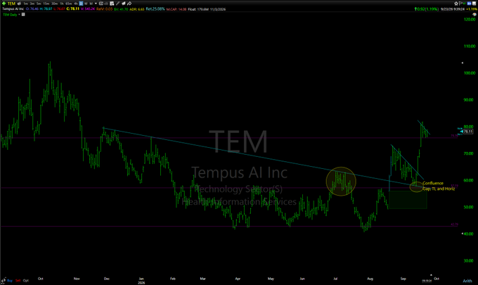 A stock chart for ticker TEM (Tempus AI Inc, Technology Sector, Health Information Services) displays a downward trendline with circled annotations indicating 'Flag pattern 15-20 days' and 'Confluence flag, TL and inside', with price levels around 38.83 and 25.95 marked.