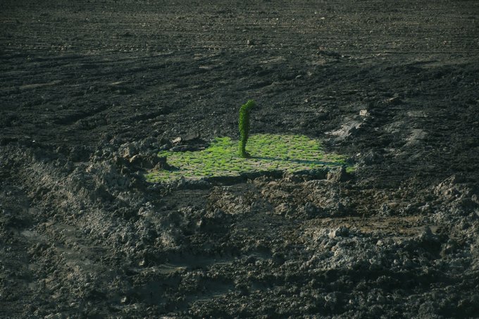 A 3D rendering shows a small green mossy island in dark rocky terrain, with a single tree-like shape rising from the center of the green patch.