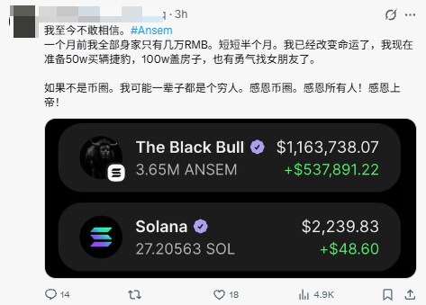 A screenshot of a Chinese-language social media post celebrating crypto gains, showing the user's "The Black Bull" wallet holding 3.65M $ANSEM tokens ($1,163,738.07, up $537,891.22) and 27.2 $SOL ($2,239.83), with the user expressing gratitude for their recent trading success and newfound financial stability. The post ties into the broader narrative of Solana's memecoin rally, highlighting how $SOL-based tokens are producing significant profits for traders.