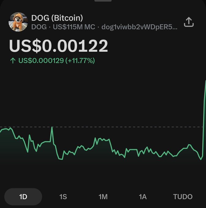 A cryptocurrency price tracking screen showing DOG (Dogecoin/Bitcoin variant) priced at US$0.00122, up by US$0.000129 (+11.77%), with a market cap of US$115M and a green price chart showing a sharp recent spike.