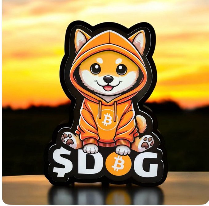 A Shiba Inu dog mascot wearing an orange Bitcoin hoodie, displayed against a sunset background with "$DOGE" letters below.