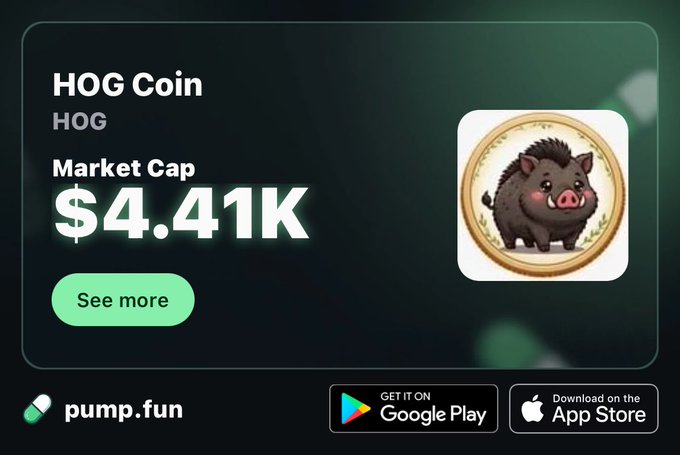 A pump.fun listing card displays 'HOG Coin' (HOG) with a market cap of $4.41K, featuring a cartoon boar illustration.