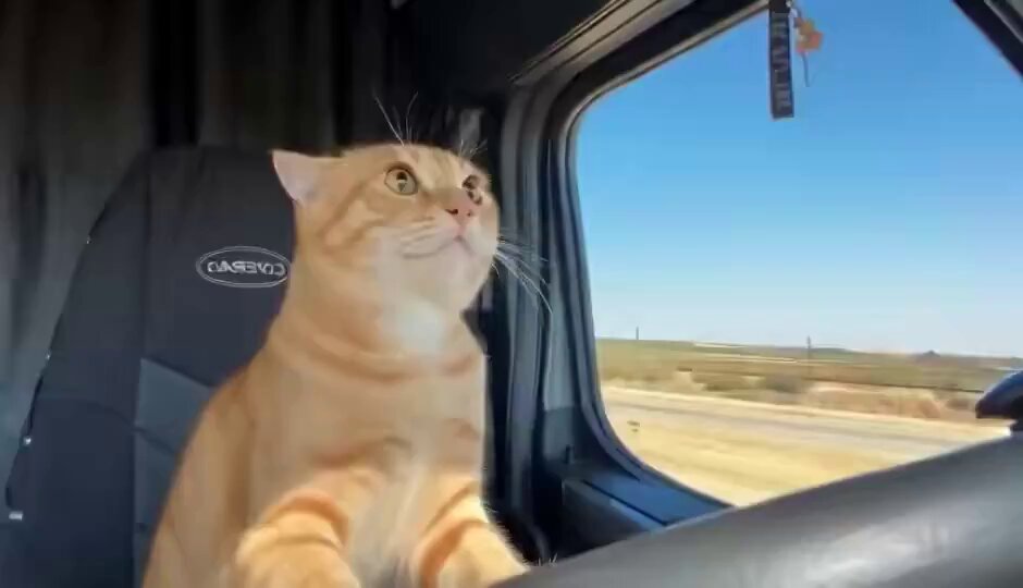 None