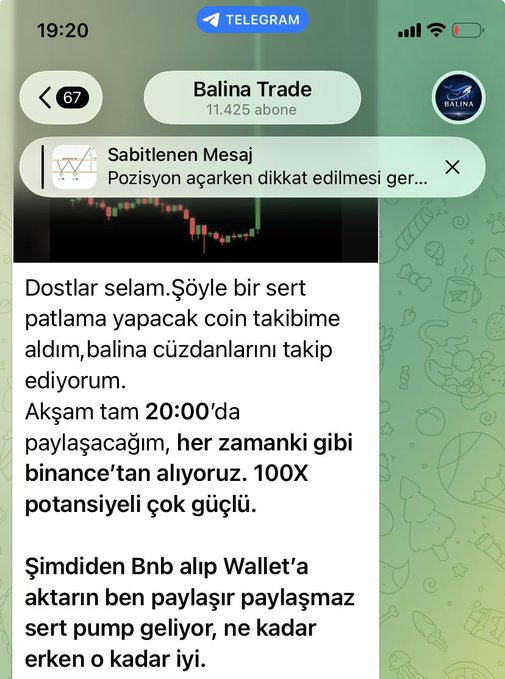 The image shows a Telegram post from "Balina Trade" (11,425 subscribers) featuring a cryptocurrency chart and Turkish text announcing a "huge explosion" coin signal to be shared at 20:00, claiming 100X potential and instructing followers to buy BNB and transfer to their wallet. The accompanying post criticizes the channel owner as a scammer who promises 100X gains but actually harms followers, exposing this as a typical pump-and-dump scheme using fake promises to lure investors.