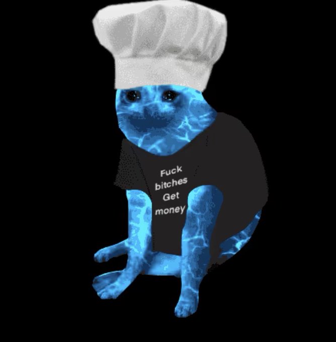 A blue, water-textured cat wearing a chef's hat and a black t-shirt with the phrase "Fuck bitches Get money," presented as a "cash cat NFT" valued at $450. The meme-style image plays on the humorous juxtaposition of a quirky cat NFT with a price tag, reflecting the often absurd valuations in the NFT market.
