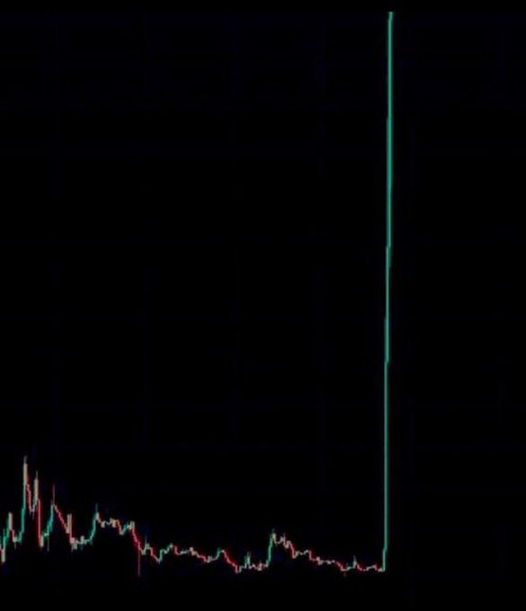 A financial chart on a black background shows mostly low-level price activity before a sudden, massive vertical green spike shoots straight up off the right side of the screen, visually exaggerating the post's claim of a "next 1000x" opportunity.
