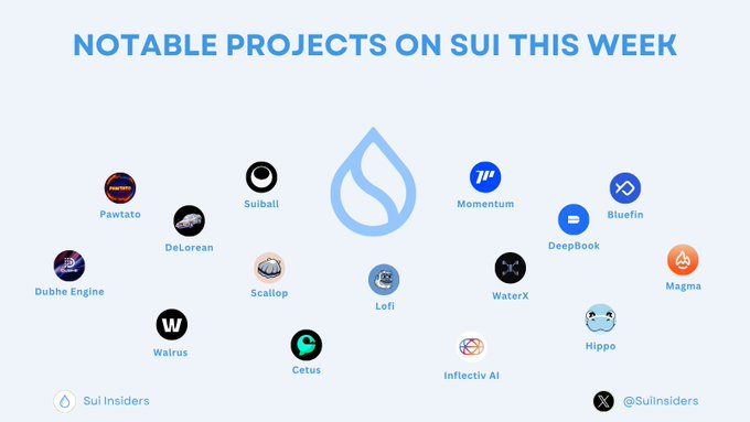 The image features a poster with various logos and text related to the cryptocurrency Sui. The main focus of the image is a blue circle containing different symbols, which are likely logos or icons associated with specific projects or teams within the Sui ecosystem. The text on the poster provides information about notable projects that have been completed in this week's Sui Week.