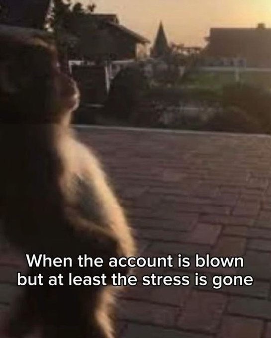 A meme featuring a blurry animal looking at the distance with text reading 'When the account is blown but at least the stress is gone'.
