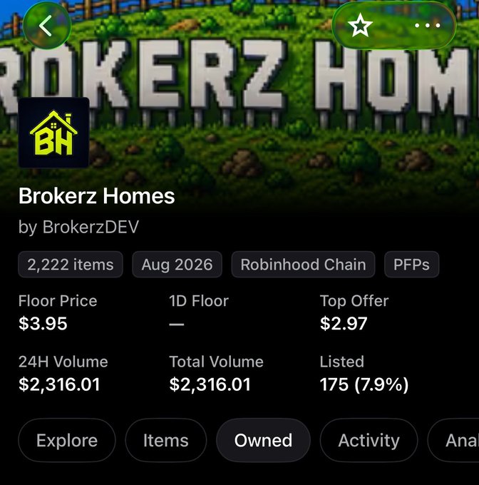A mobile app screenshot showing 'Brokerz Homes' NFT collection details with 2,222 items on Robinhood Chain, a floor price of $3.95, and 24H volume of $2,316.01.