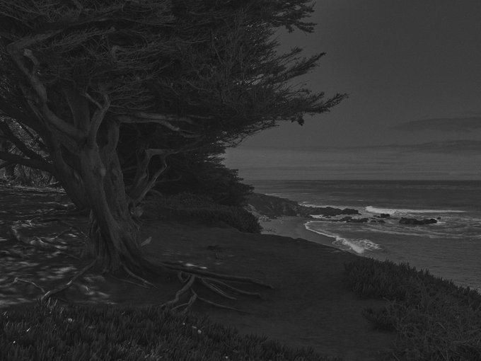 A dark, moody black-and-white photograph of a windswept cypress tree on a coastal bluff overlooking a dark ocean under an overcast sky.